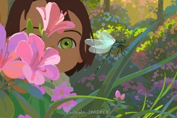 آملی کوچولو سوژه پویانمائی شد اقتباسی از رمان نویسنده بلژیکی