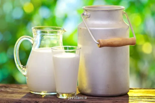 ناگفته هایی از ماندگاری شیرهای پاکتی هشدار متخصص تغذیه
