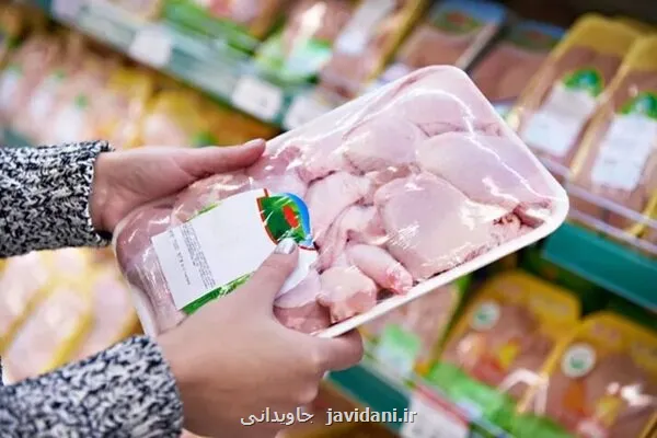 هشدار نسبت به حذف محصولات پروتئینی از سبد خانوار