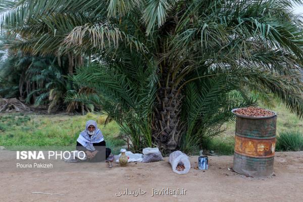 هلا بیكم یا زائرین الحسین (ع)