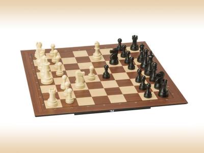 دانلود فایل های آموزشی شطرنج