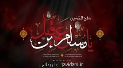 مسلم بن عقیل(ع) حامل پیام
