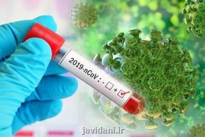 تدوین سند فرهنگی مقابله با ابعاد بیماری كرونا